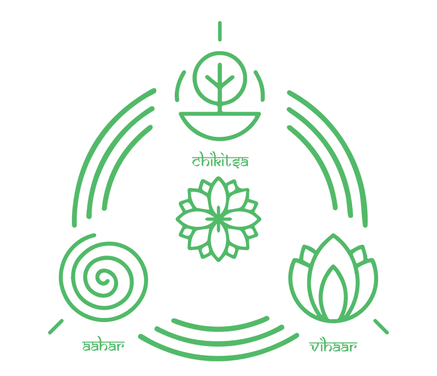 Holistic nutrition and wellness therapy for a balanced lifestyle